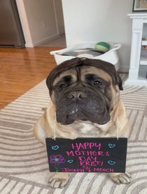 Poster for Mother's Day video from Big Meech