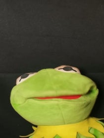 Poster for Roast video from kermydoesomegle