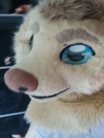 Poster for Birthday video from Rex the Furry Dog