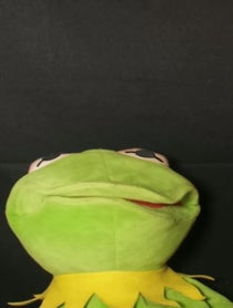 Poster for Other video from kermydoesomegle