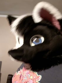 Poster for Other video from SOLIS THE WOLF