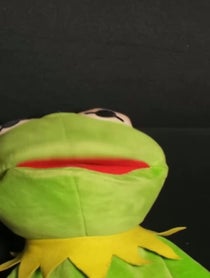 Poster for Other video from kermydoesomegle