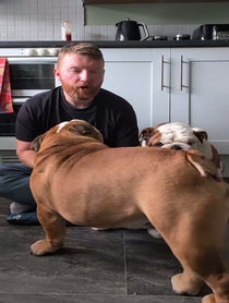 Poster for Birthday video from Bulldogpabs