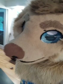 Poster for Advice video from Rex the Furry Dog