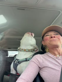 Poster for Birthday video from Petey the Singing Bulldog