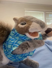 Poster for Mother's Day video from Nutella the Squirrel