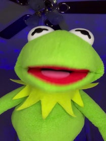 Poster for Mother's Day video from Kermit Impressionist