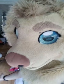 Poster for Birthday video from Rex the Furry Dog