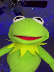 Poster for Mother's Day video from Kermit Impressionist