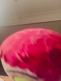 Poster for Birthday video from Why Bird