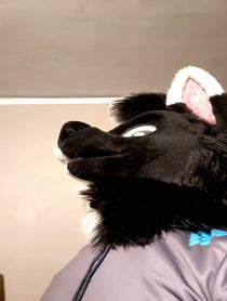 Poster for Birthday video from SOLIS THE WOLF