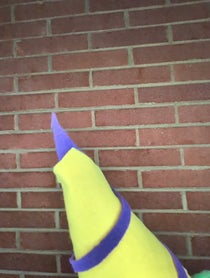 Poster for Birthday video from Doug the Puppet