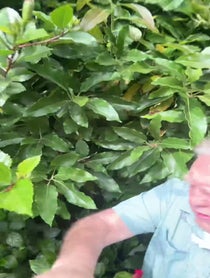 Poster for Birthday video from Daniel Roebuck