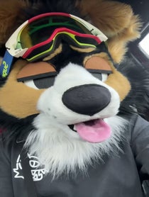 Poster for Birthday video from NORFDOG