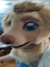 Poster for Birthday video from Rex the Furry Dog