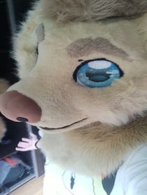 Poster for Other video from Rex the Furry Dog