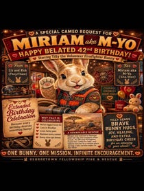 Poster for Birthday video from Tilly Tally