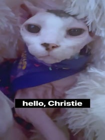 Poster for Birthday video from Beebs