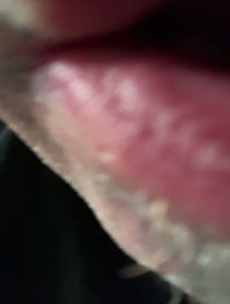 Poster for Other video from D Randall Blythe