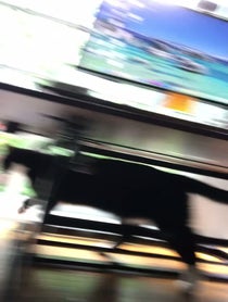 Poster for Birthday video from Dave Willis