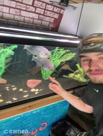 Poster for Intro video video from Gus The Bass