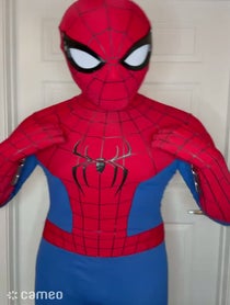 Poster for Intro video video from Spiderman