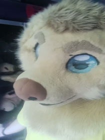 Poster for Birthday video from Rex the Furry Dog