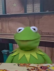 Poster for Congrats video from Kermits Muppets