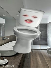 Poster for Intro video video from Mr. Toilet