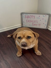 Poster for Father's Day video from Cashew