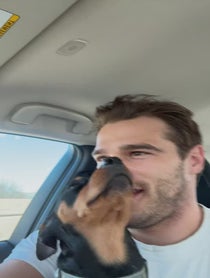 Poster for Holiday video from Tucker Des Lauriers