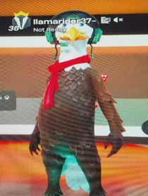 Poster for Valentine's Day video from llama rider