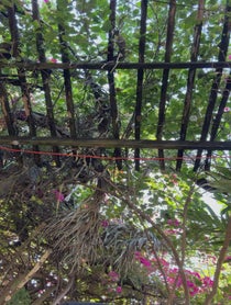 Poster for Roast video from Billy Gil