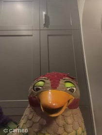 Poster for Intro video video from Why Bird