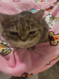 Poster for Holiday video from Melody & Jiggy