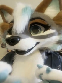 Poster for Birthday video from Zephyri Wolf