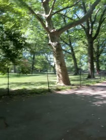 Poster for Father's Day video from Bryan Perri