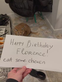Poster for Birthday video from Pumba Caracal