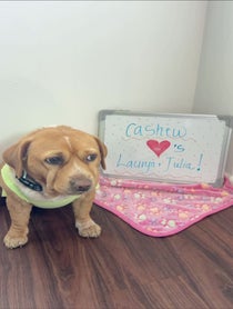 Poster for Pep Talk video from Cashew
