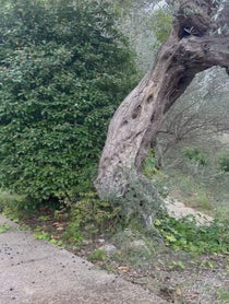 Poster for Holiday video from Fab Morvan