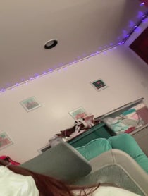 Poster for Holiday video from limbo sounds