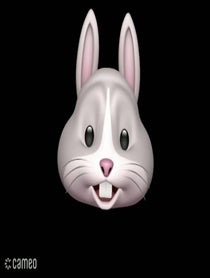 Poster for Intro video video from Jack The Rabbit