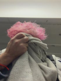 Poster for Valentine's Day video from Perez Hilton