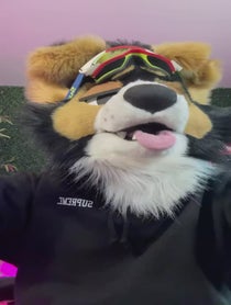Poster for Birthday video from NORFDOG