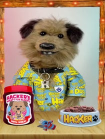 Poster for Birthday video from Puppet pals by Phil Fletcher