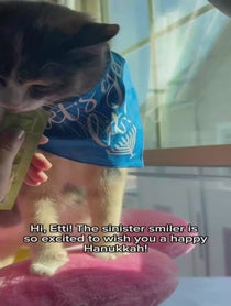 Poster for Holiday video from Monkey