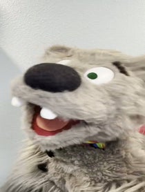 Poster for Birthday video from Bando the Bear