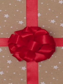 Poster for Holiday video from Santa Claus