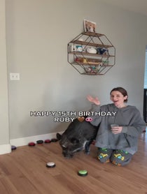 Poster for Birthday video from Merlin & Mina