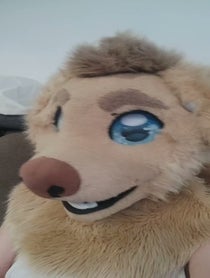 Poster for Pep Talk video from Rex the Furry Dog